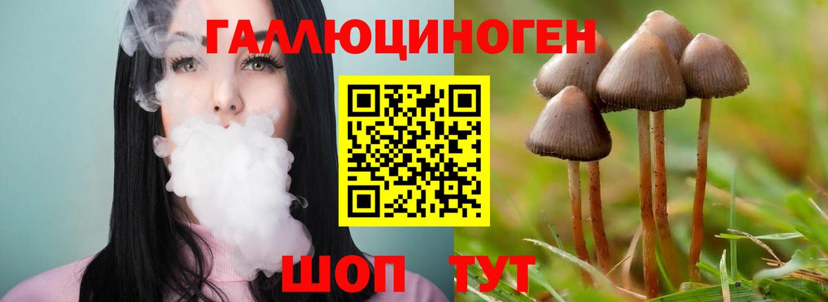 Псилоцибиновые грибы мухоморы  Вход с VPN  Галлюциногенные грибы GOLDEN TEACHER  Электрогорск 